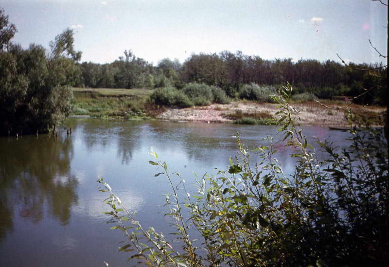 ��� ����� 1978 ���