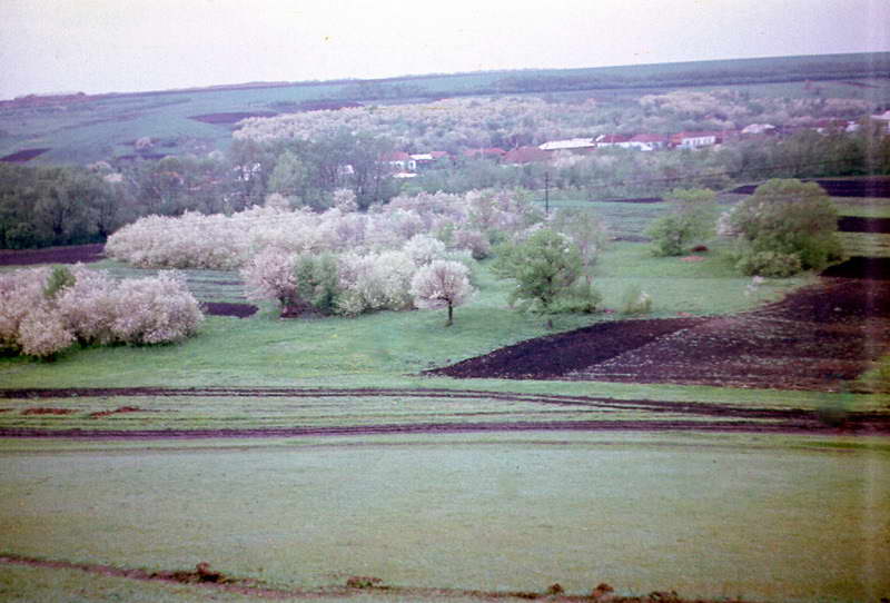 ���� � �����,����� 1977����