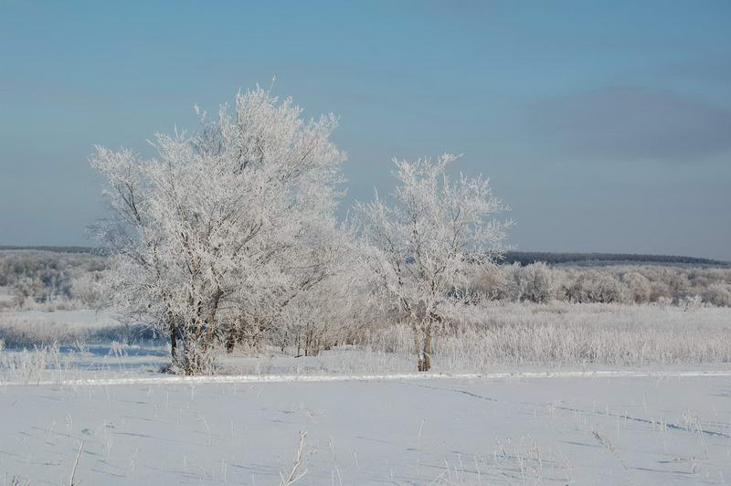 -27�