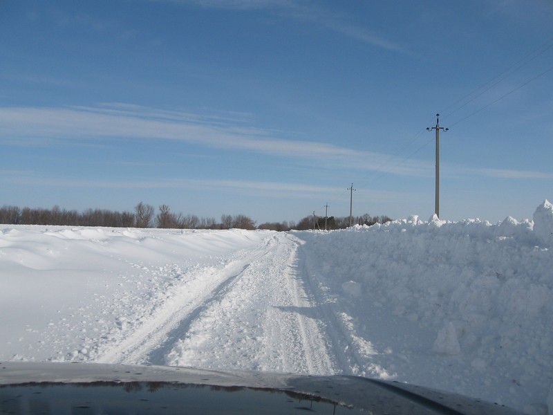 15.03.2010