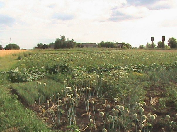 (1)