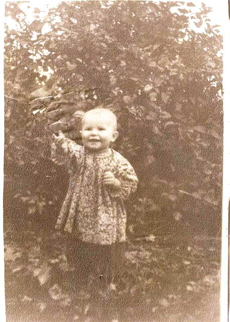 1955 ���