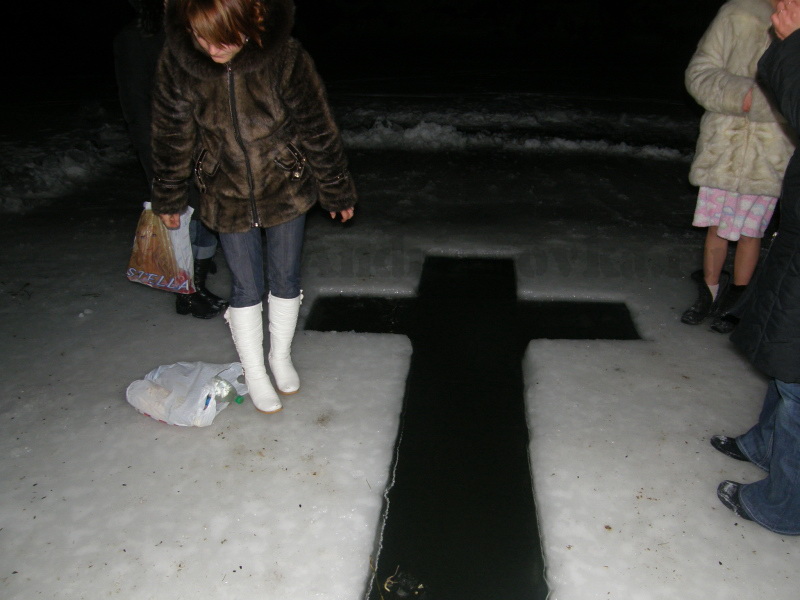 �������� 2008