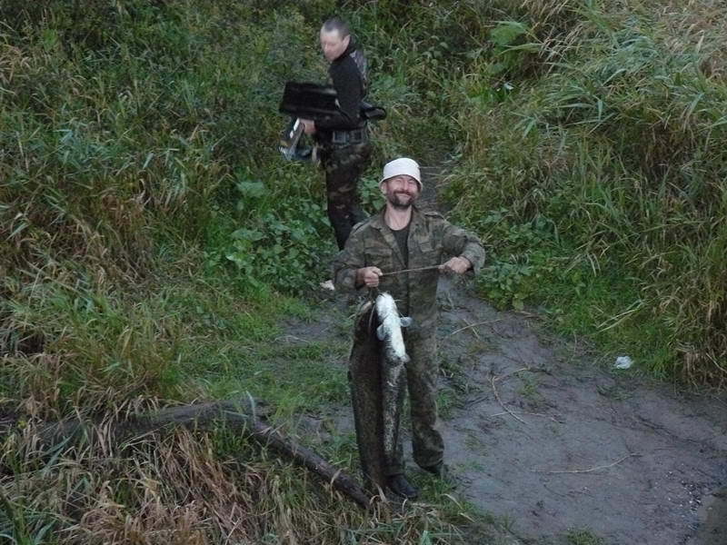 42