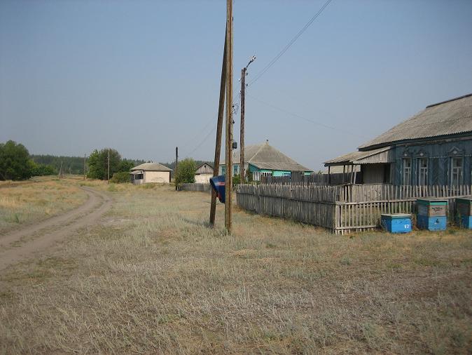 ������  ������ ����� 2010-��