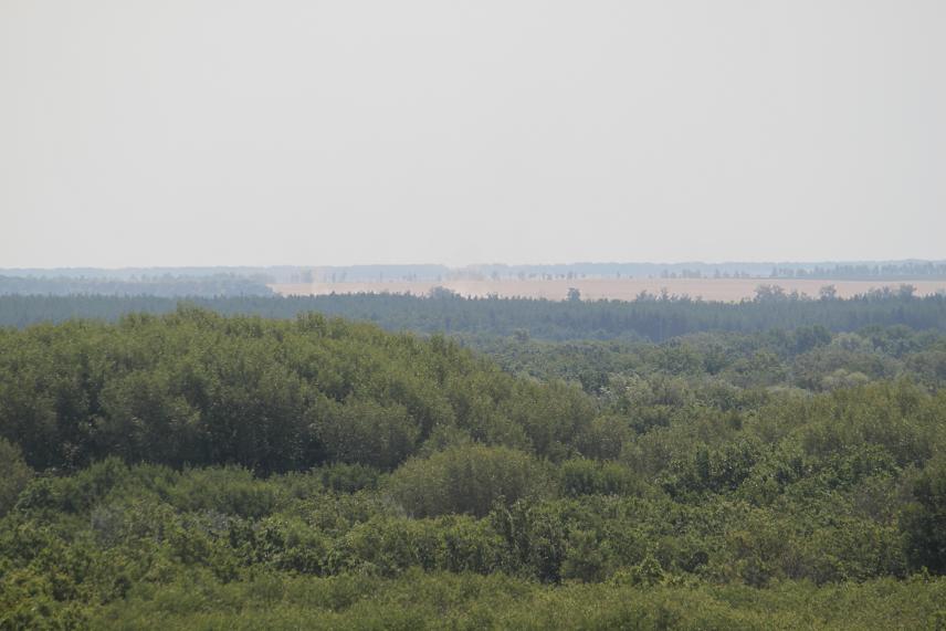��������� ������
