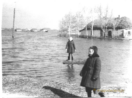 1963 ���