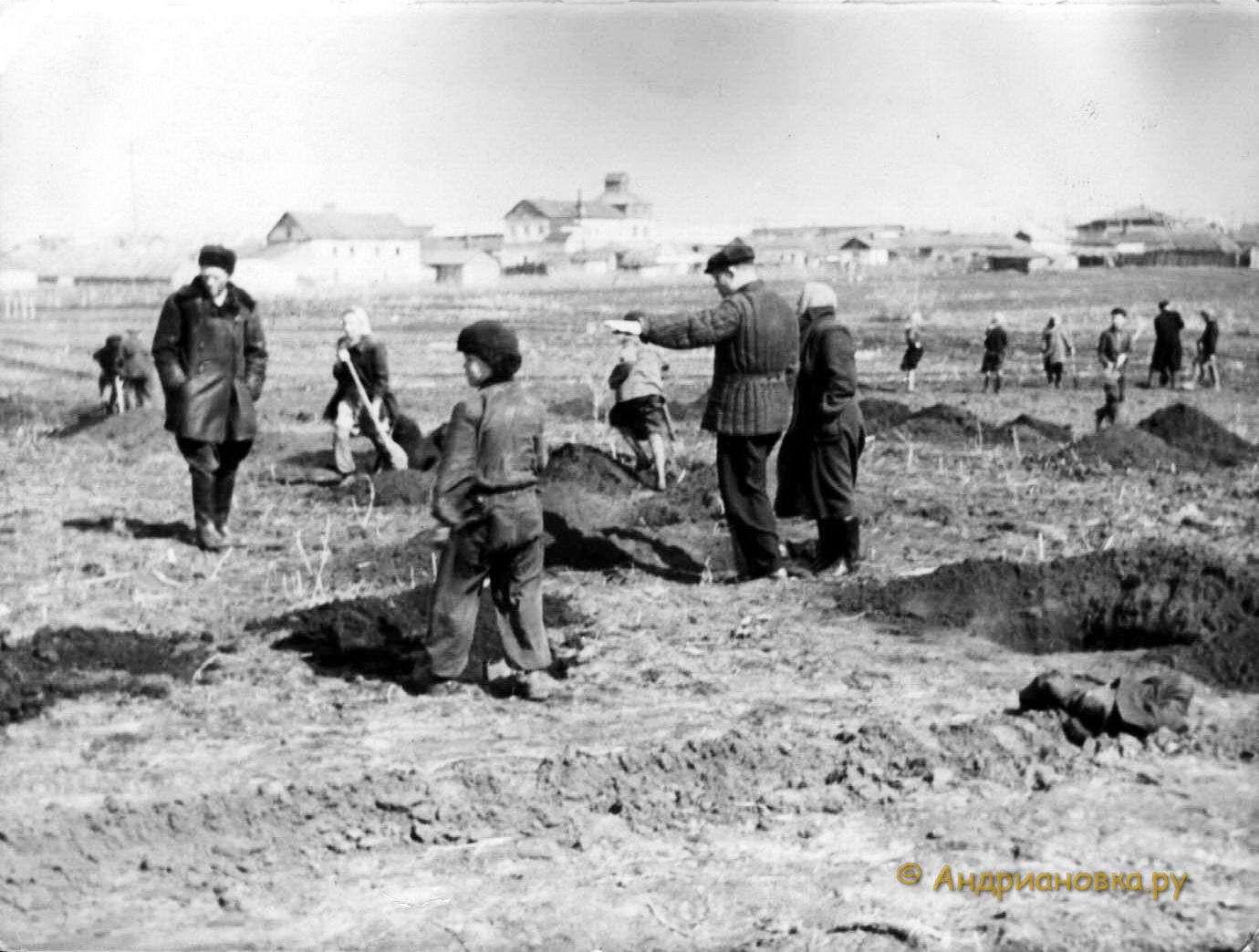 �������� ����� 1958 �