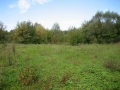 �������� ������