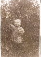 1955 ���
