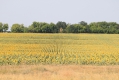 �������� ���������� ������ ������