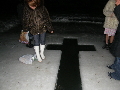 �������� 2008