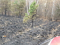 17/10/2009-05